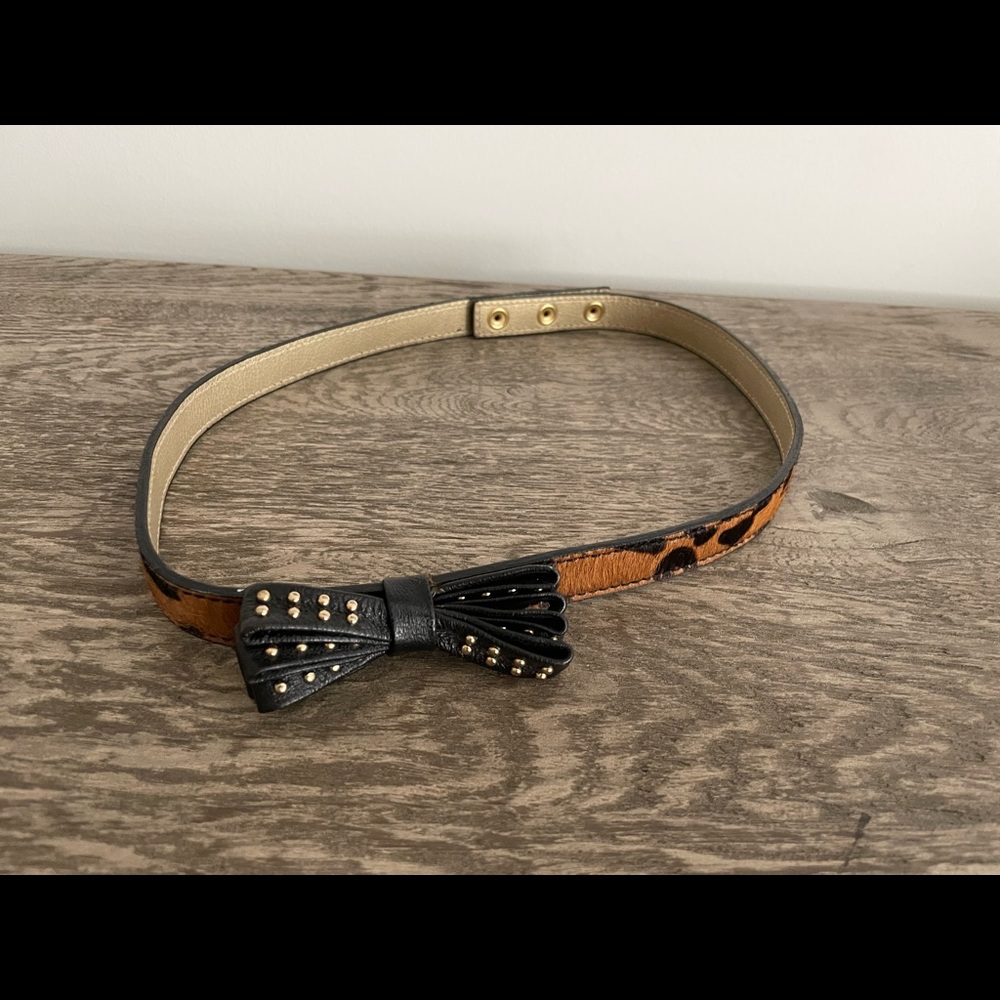 Belt - Picture 2 of 3